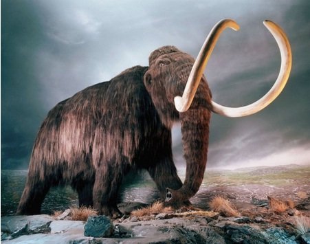 Russia and South Korea Sign Agreement to Clone the Mammoth