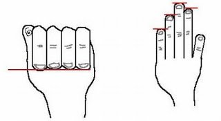 Why Do We Have 5 Fingers and Not 6 or 4?   3