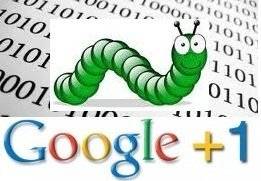 First Critical Bug Identified In Google Plus.
