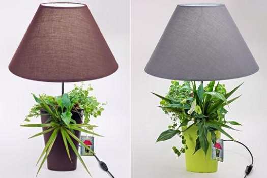 Home Decoration with "Environment Friendly" Lamps for Nature Loving Folks