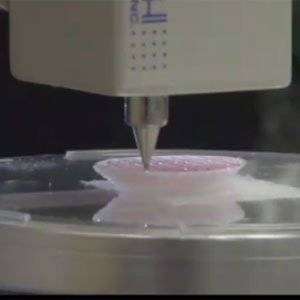 Scientists aim to print 3D kidney to replace human organs