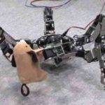 Skillful Omni-Directional Insect Robot Asterisk Makes its Appearance (video)