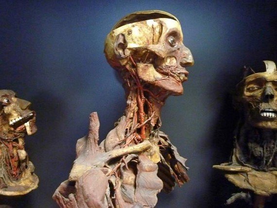 The Secret Inside the Skull of the 19th Century Mummy -3