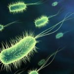 Prehistoric bacteria against antibiotics 1-0