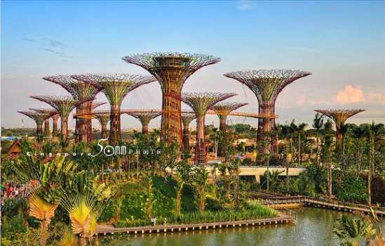 Gardens By The Bay 2