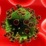 HIV Virus Fight Against itself and Stop the Replication of HIV 2