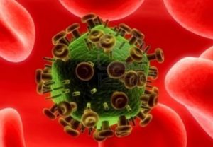 HIV Virus Fight Against itself and Stop the Replication of HIV 1