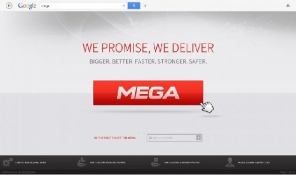 Mega-Dotcom,-$10,000-reward-Security